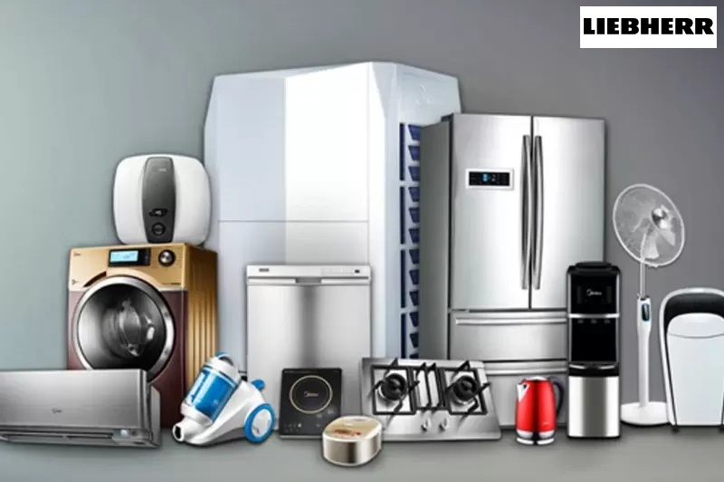 مركز صيانة ليبهير