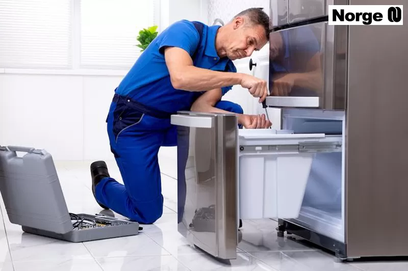 صيانة ديب فريزر نورج